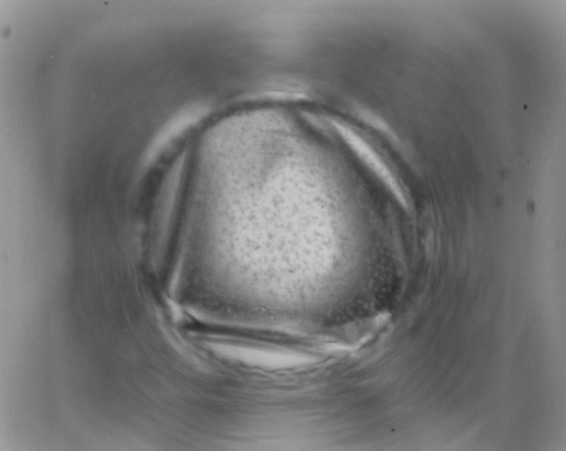 X0000066001448200603172153