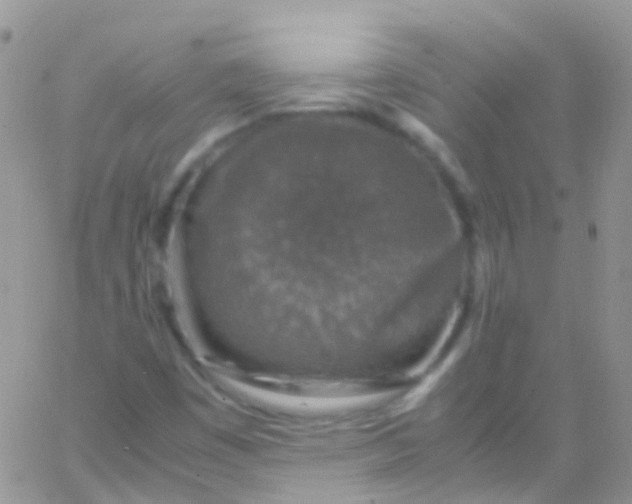 X0000066001449200603172153