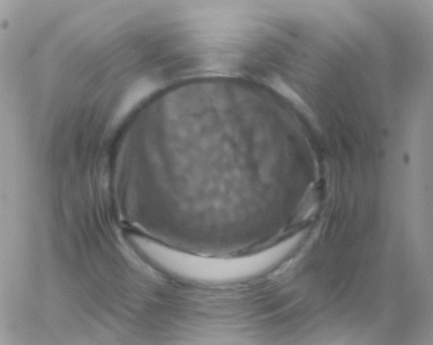 X0000066001450200603172153