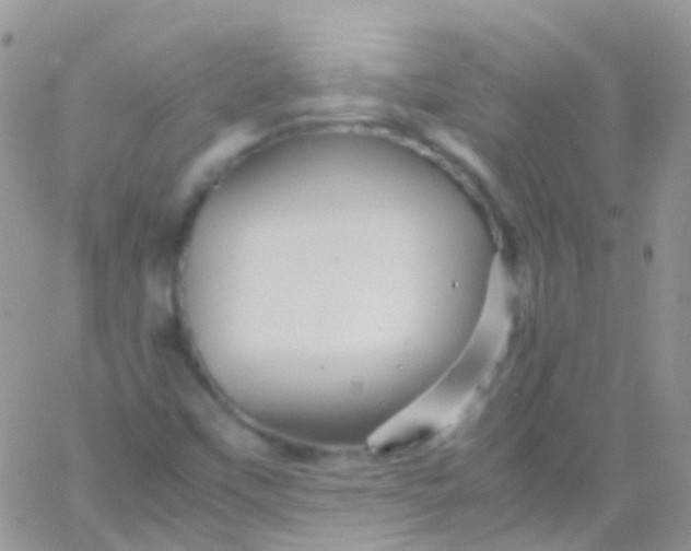 X0000066001451200603172153