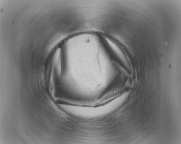 X0000066001452200603172153