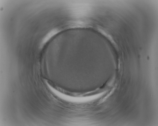 X0000066001453200603172153