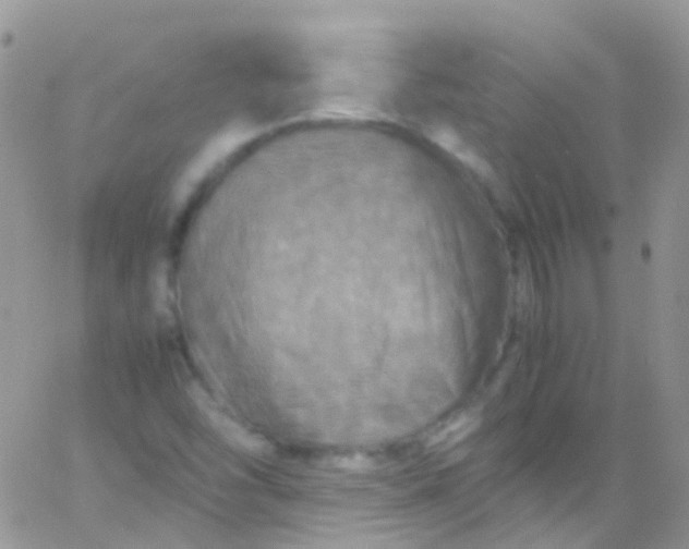 X0000066001454200603172153