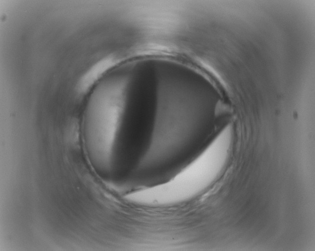 X0000066001455200603172153