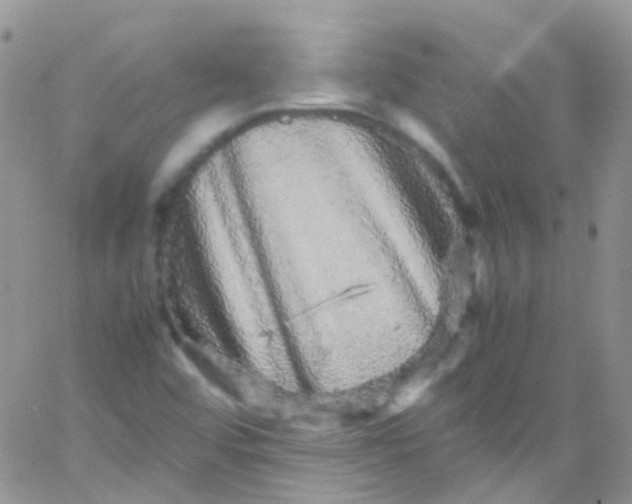 X0000066001456200603172153