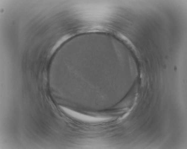 X0000066001457200603172153