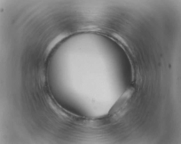 X0000066001458200603172153