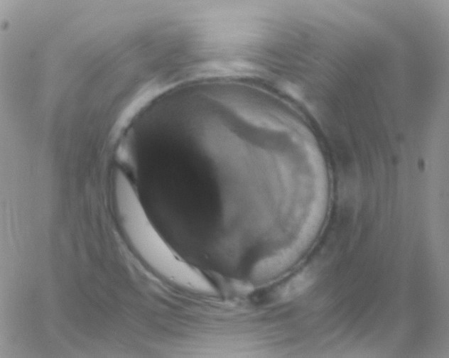 X0000066001459200603172153