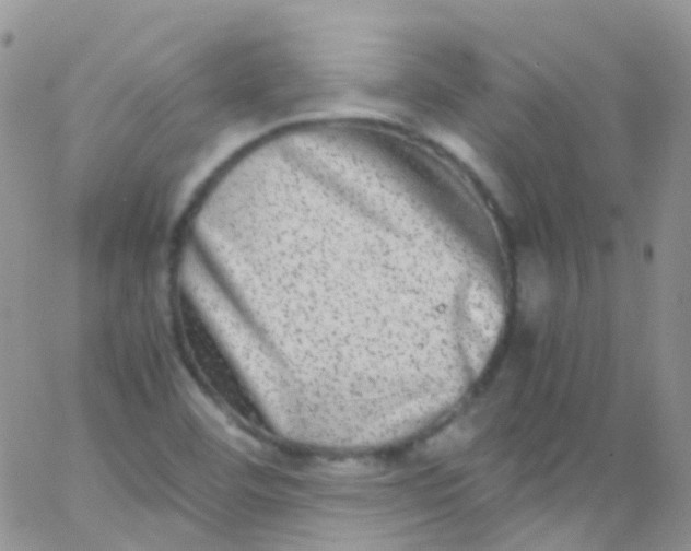 X0000066001460200603172153