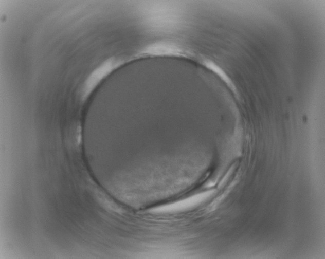 X0000066001461200603172153