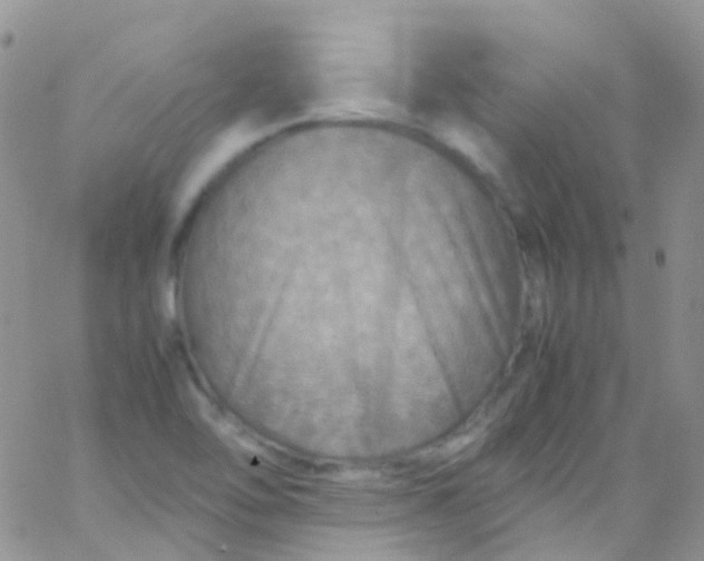 X0000066001462200603172153