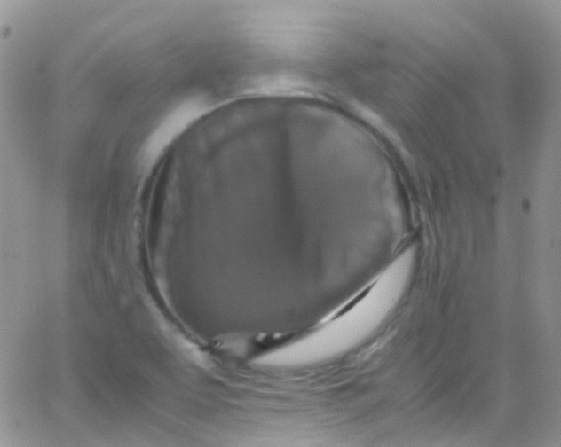 X0000066001463200603172153