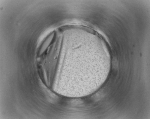 X0000066001464200603172153