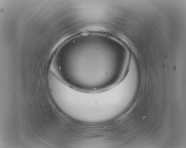 X0000066001465200603172153