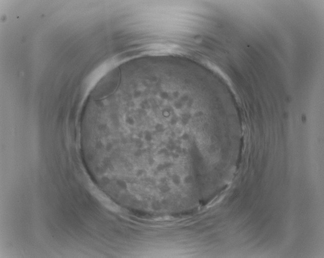 X0000066001467200603172153