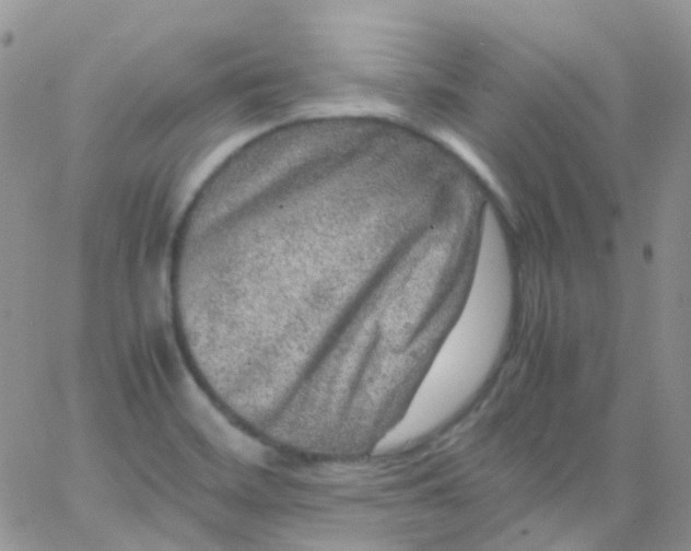 X0000066001468200603172153