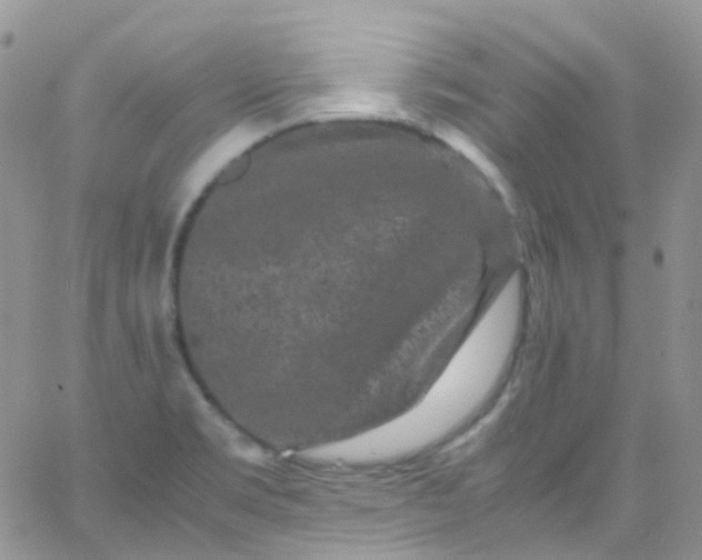 X0000066001469200603172153