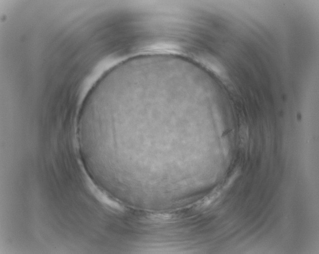 X0000066001470200603172153