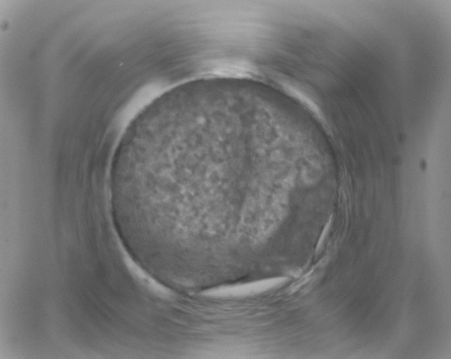 X0000066001471200603172153