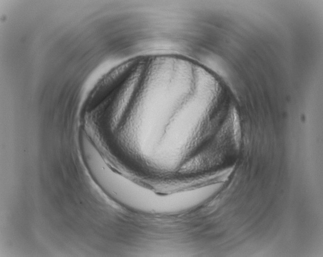 X0000066001472200603172153