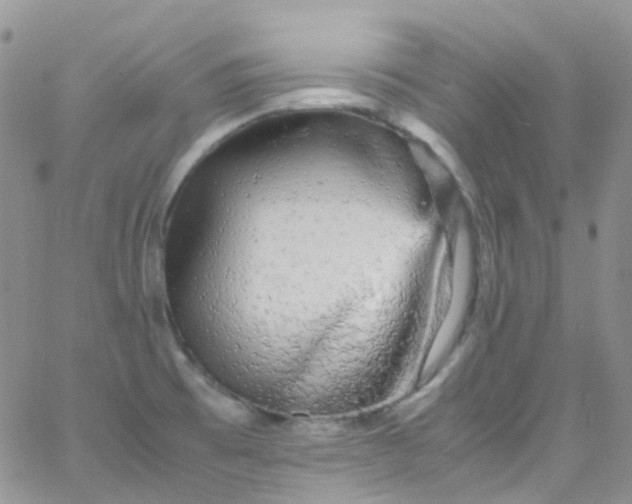 X0000066001473200603172153