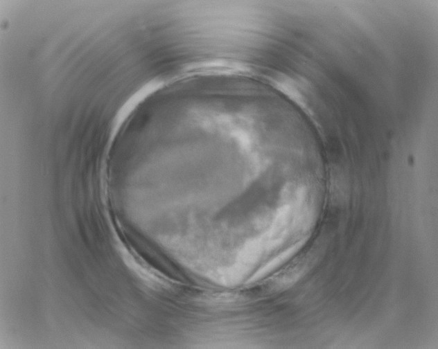 X0000066001474200603172153