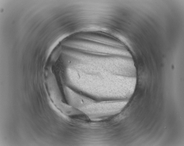 X0000066001476200603172153