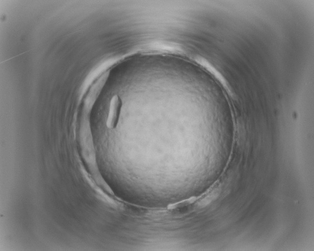 X0000066001477200603172153