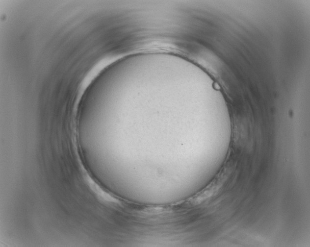 X0000066001478200603172153