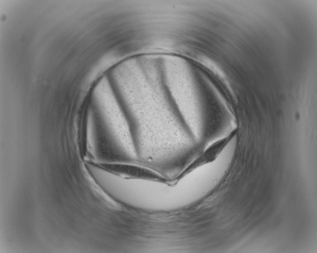 X0000066001480200603172153