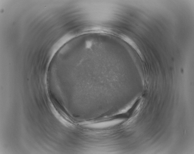 X0000066001482200603172153