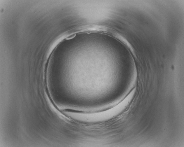 X0000066001483200603172153