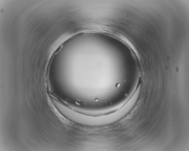 X0000066001485200603172153