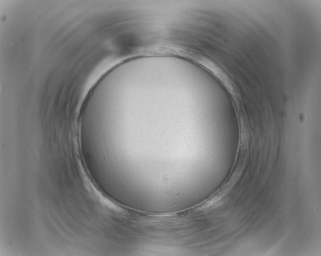 X0000066001486200603172153