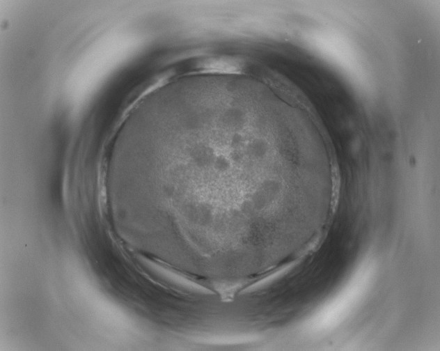 X0000066001487200603172153