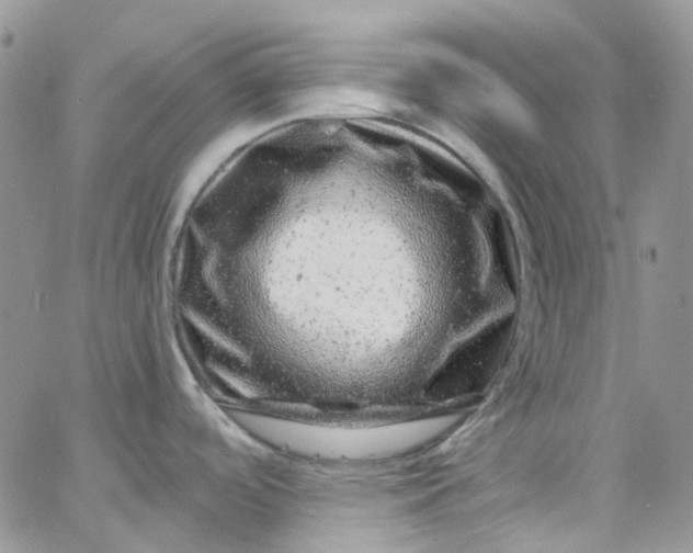 X0000066001488200603172153