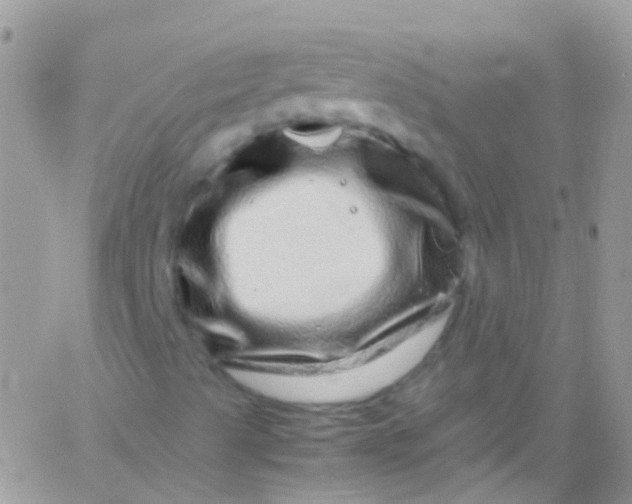 X0000066001489200603172152