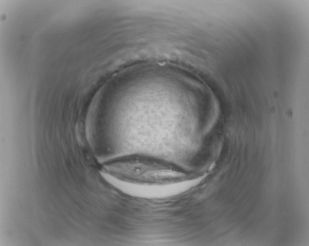 X0000066001490200603172152