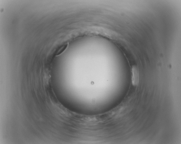 X0000066001491200603172152