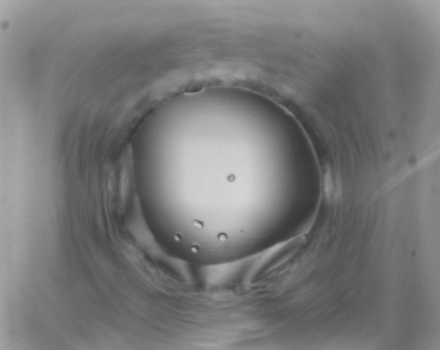 X0000066001492200603172152