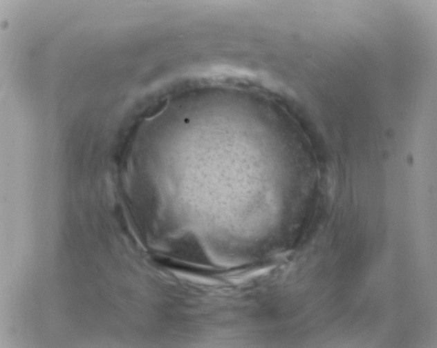 X0000066001493200603172152