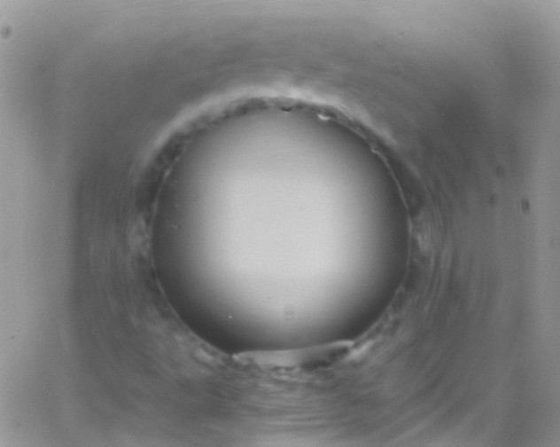 X0000066001495200603172152