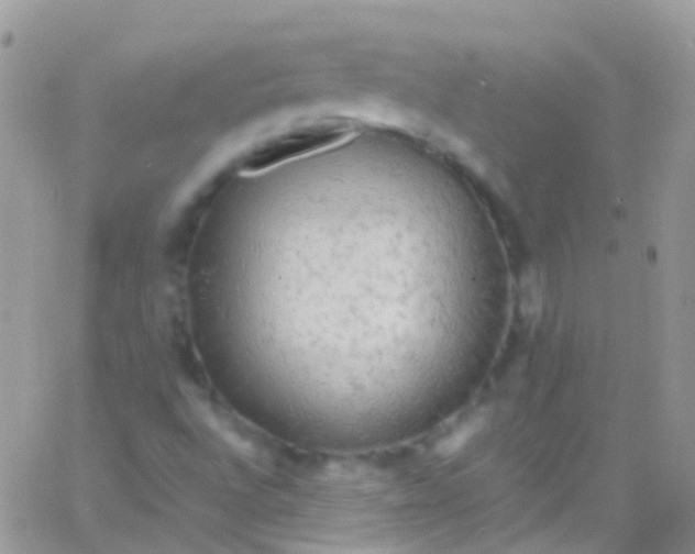 X0000066001496200603172152