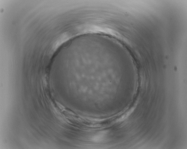 X0000066001497200603172152