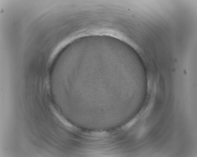 X0000066001498200603172152