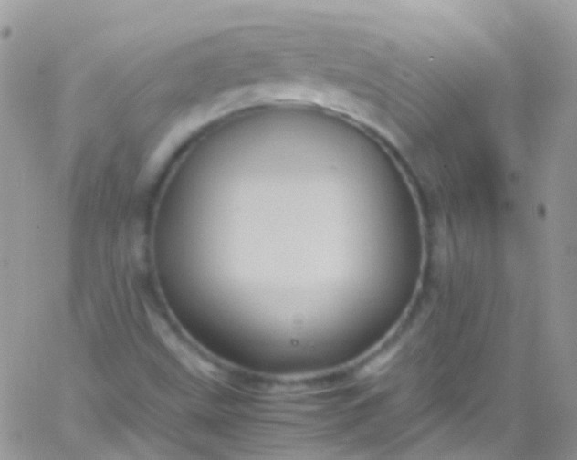 X0000066001499200603172152