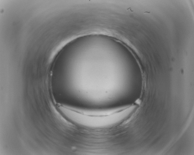 X0000066001500200603172152