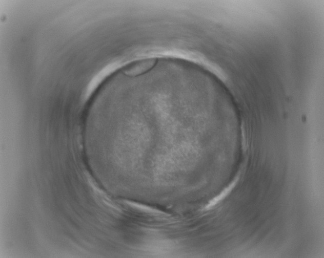 X0000066001501200603172152