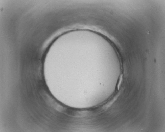 X0000066001502200603172152