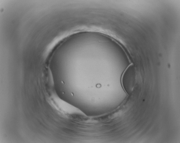 X0000066001503200603172152